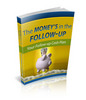 Thumbnail The Money In The Follow-Up (PLR)