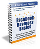 Thumbnail Facebook Business Basic PLR Thumbnail Facebook Business Basic PLR