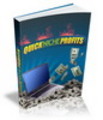 Thumbnail Quick Niche Profits PLR