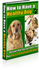 Thumbnail How To Have A Healthy Dog MMR