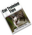 Thumbnail Cat Training Tips MRR