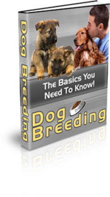 Product picture Dog Breeding PLR