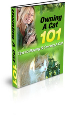 Product picture Owning A Cat 101 PLR 