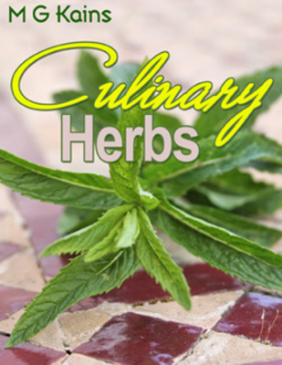 Product picture Culinary Herbs eBook (PLR)