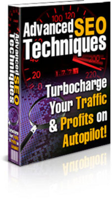 Product picture Advanced SEO Techniques: Turbocharge Your Traffic & Profits 