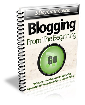 Product picture 5 Day Crash Course Blogging From The Beginning (PLR)