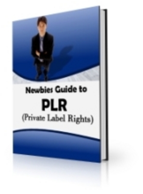 Product picture Newbies Guide To PLR eBook PLR