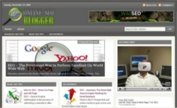 Product picture Hot SEO Niche Blog PLR