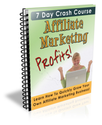 Product picture Affiliate Marketing Profits eBook PLR