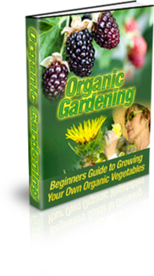 Product picture Organic Gardening PLR