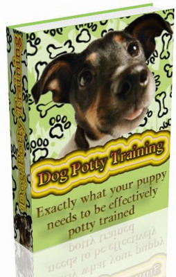 Product picture Dog Potty Training MRR