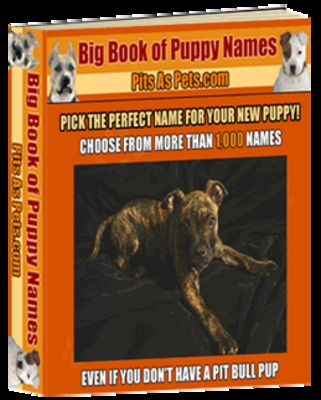 Product picture Big Book of Puppy Names MRR