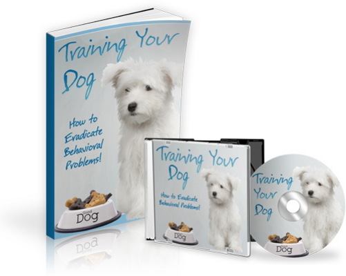 Product picture Training Your Dog MRR