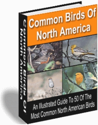 Product picture Birding For Everyone Package MRR